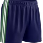 St. Aidan’s Shorts