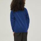 Cobalt Blue V-neck uniform sweatshirt back view durable everyday school jumper