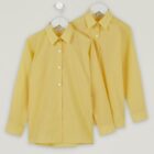 Gold blouses twin pack