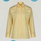 Gold blouses twin pack